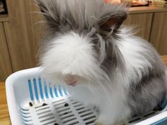 -藦茜花园宠物主题亲子互动体验馆(国顺东路店)