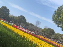 -大宁公园