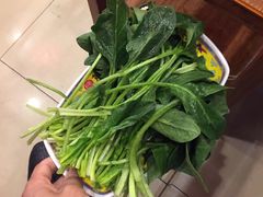 -芦月轩羊蝎子(北蜂窝店)