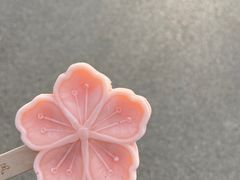 -北京凤凰岭