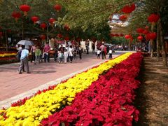 -广东茂名森林公园