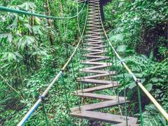 -清迈丛林飞跃 JungleFlight