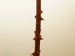 -蒙肥羊·酸汤潮牛·鲜牛肉火锅烤肉自助(岗顶店)