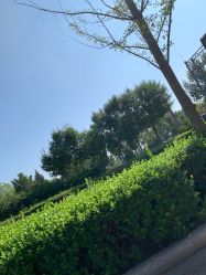 -HEYAN长风荷妍专业脱毛美肤

