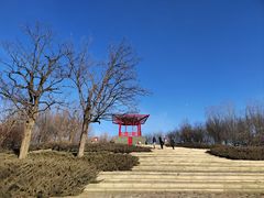 -大望京公园
