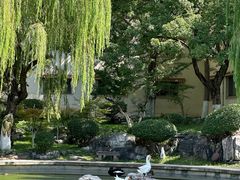 -舜耕山庄四时万和自助餐厅