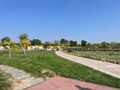 -天津东丽湖风景区