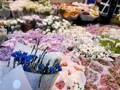 -金陵花卉交易市场