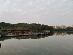-三水森林公园