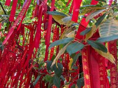 -重庆十八梯传统风貌区