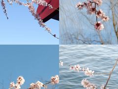 -颐和园