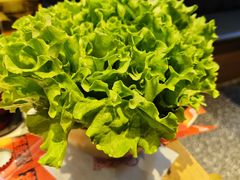 -杨记齐齐哈尔烤肉(总店)