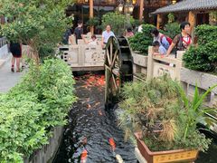 -顺德了能馆(虎门店)