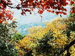 -香山公园