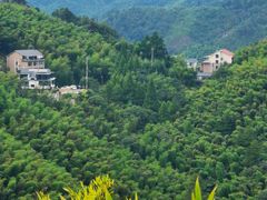 -藏龙百瀑风景区