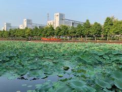 -南京信息职业技术学院