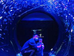 -成都浩海立方海洋公园