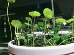 -花锦堂·隐庐