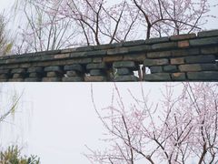 -三里河公园