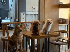 -萌喵咖啡屋(人民东路4号口M16商铺店)