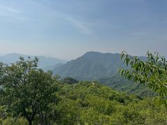 -大岭沟猕猴桃谷风景区