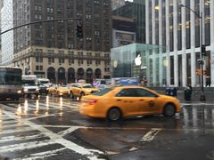 -Lady M Cake Boutique(麦迪逊大道店)