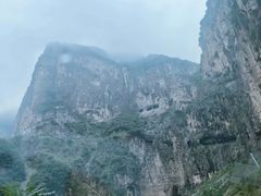-王莽岭风景区