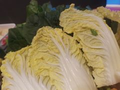 蔬菜大拼-蝎王府羊蝎子(西直门店)