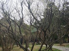 景点-解放公园