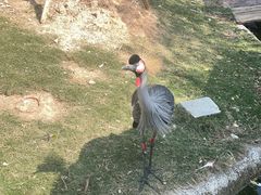 -灵玲国际马戏城