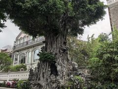 -荔湾湖公园