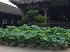 -宝光寺