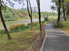 -海珠湖公园