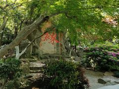 -杭州黄龙洞