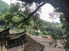 -杨家堂村