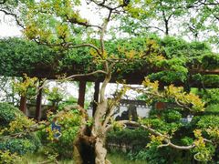 -南山植物园