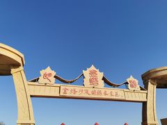 -金塔沙漠胡杨林景区