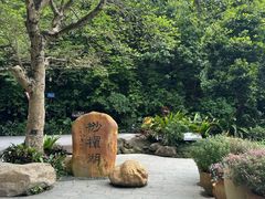 -深圳仙湖植物园