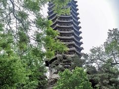 -北京大学-燕南食堂