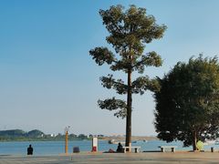 -羚羊峡古栈道森林公园