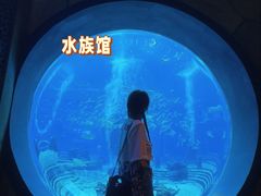 -三亚亚特兰蒂斯度假区