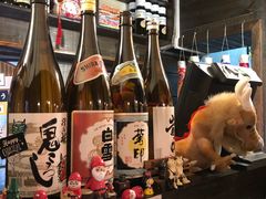 -金龙咖喱
