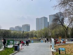 -黄村公园