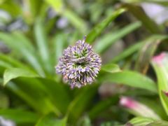 -徐家汇源景区-衡山公园