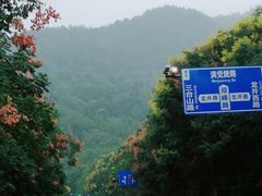 -中国茶叶博物馆(双峰馆区)