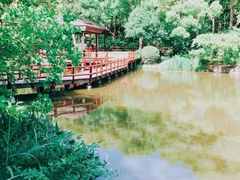 -上海滨江森林公园