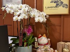 -LANN I 蘭·泰式古法按摩(高岛屋百货店)