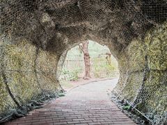 -北海金海湾红树林生态旅游区