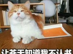 -京和风食堂·定食寿喜锅(保利樾广场店)