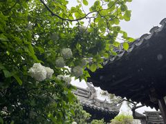 -豫园